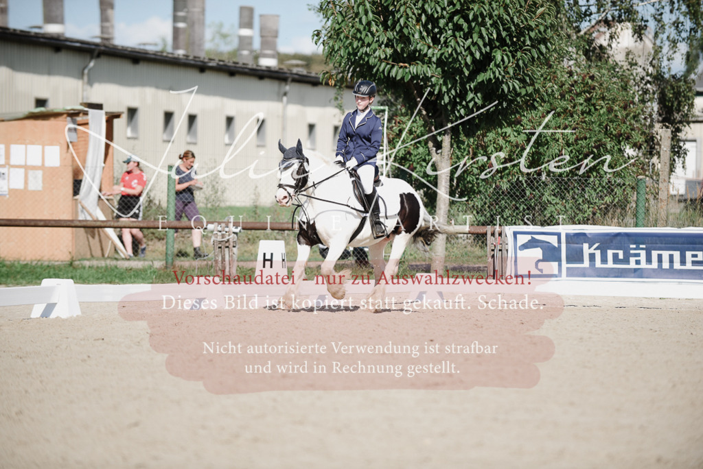 DSC_0109 | Pferde- und Turnierfotografie in Westsachsen. Pferdeportraits, Auftragszeichnungen und intuitive Kunst.