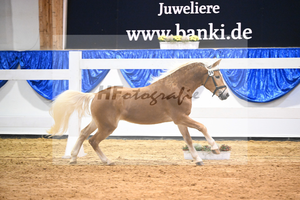 Kat-Nr. 34 Willis Prinz v. Willi V_Gruendl_60220539 | hf-fotografie - Realisiert mit Pictrs.com