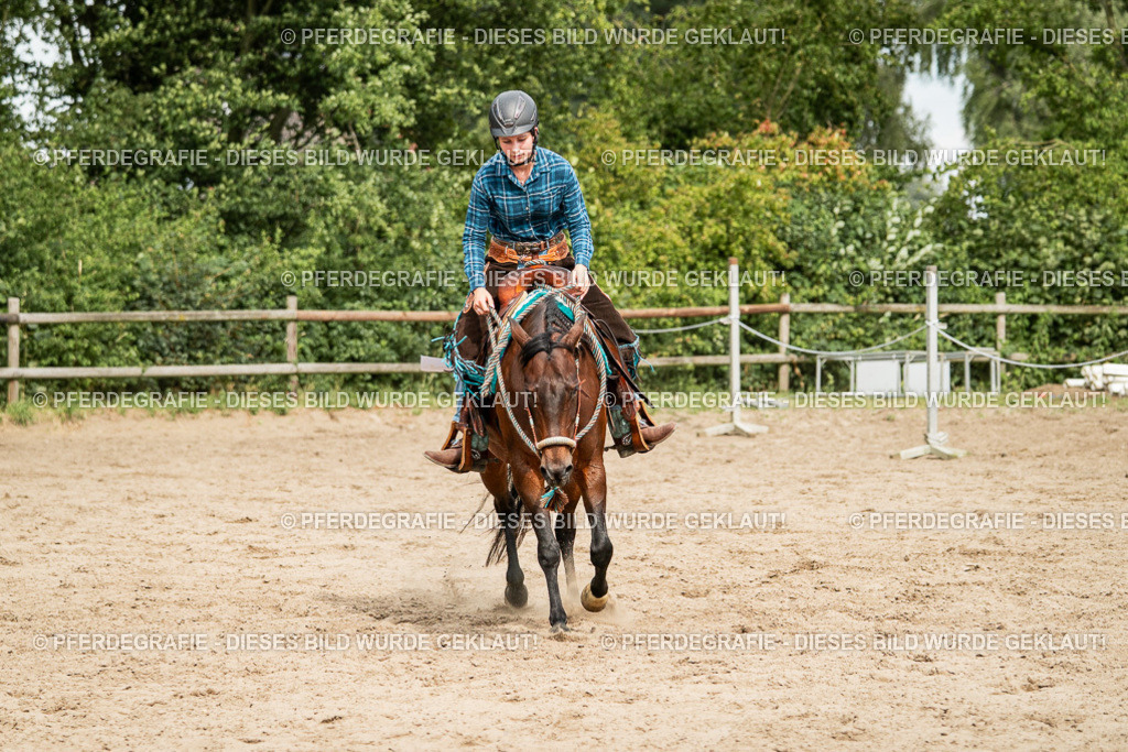 DSC03931 | Pferdegrafie