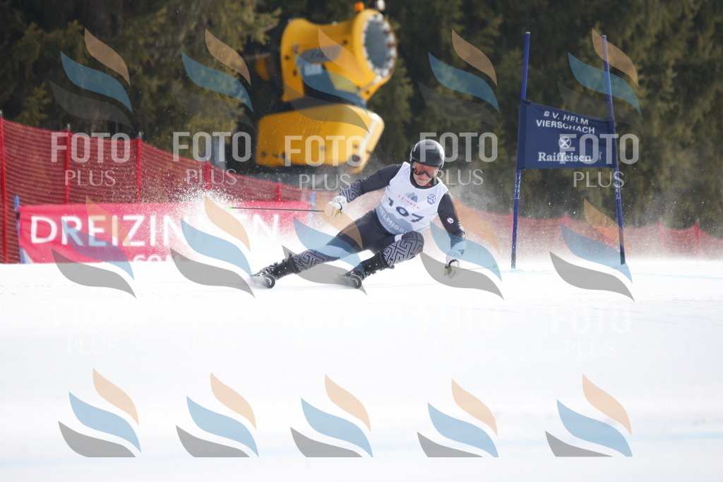 D6463 | holidayphoto