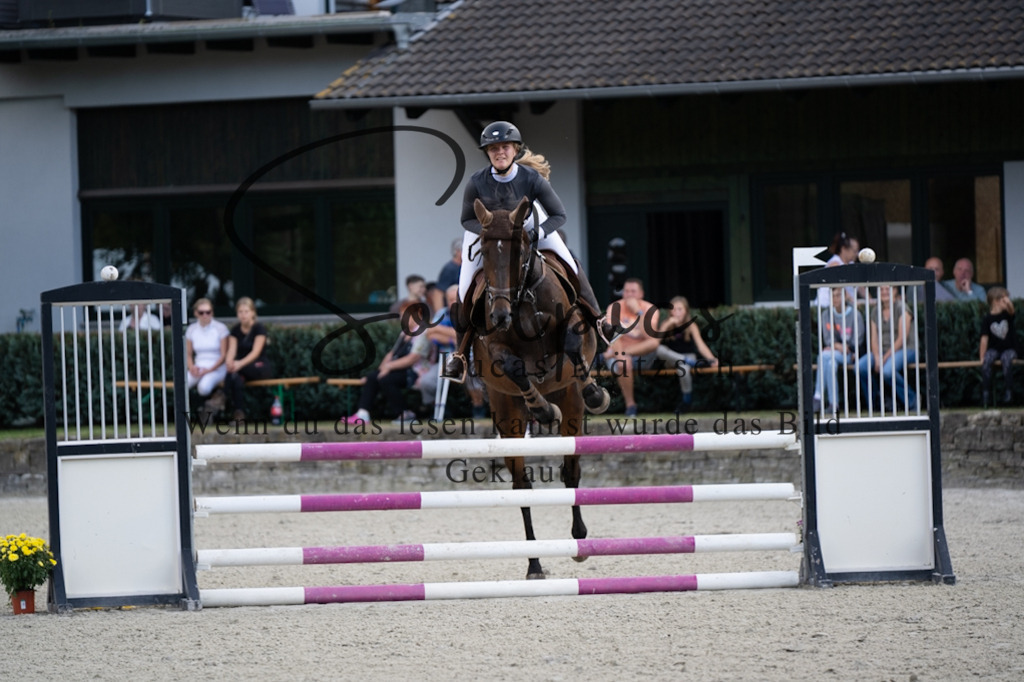 A7V07781 | Pferdefotograf