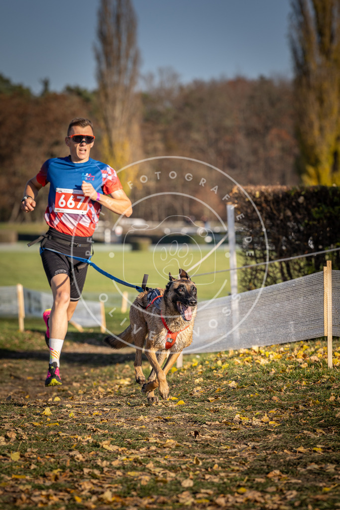CaniXpix_DV3A0809 | Hundefotografie, Tierfotograf, Pfotenfotografie, Fotoshooting Hund, Hunde Portrait, Hundesport, Hundeportraits, Heideshooting, Hunde, Sportfotograf, Hundefotograf, Turnierhundsport, THS,  - Realisiert mit Pictrs.com