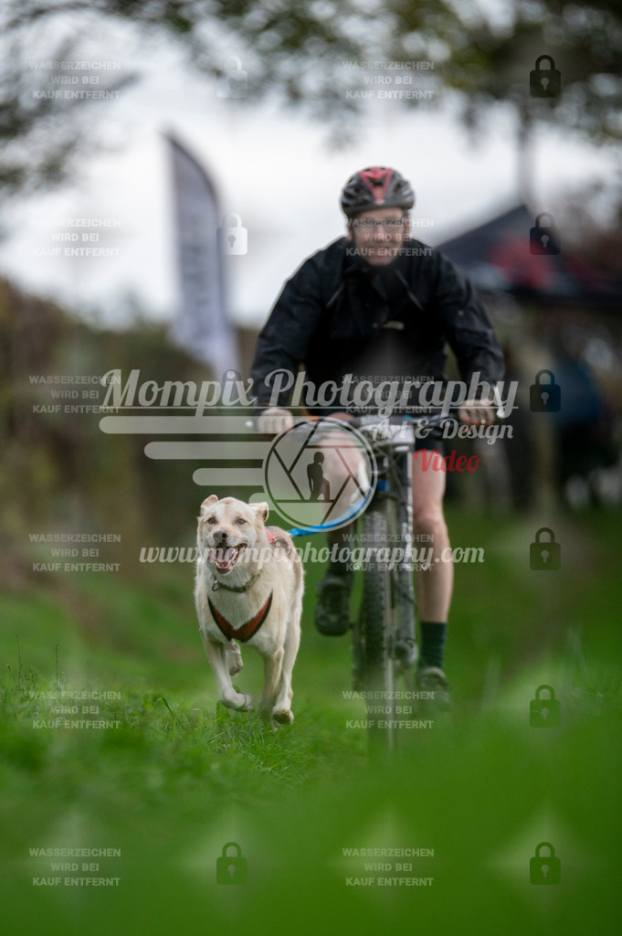 TSB_2023_E8_Bike-57 | PayLife