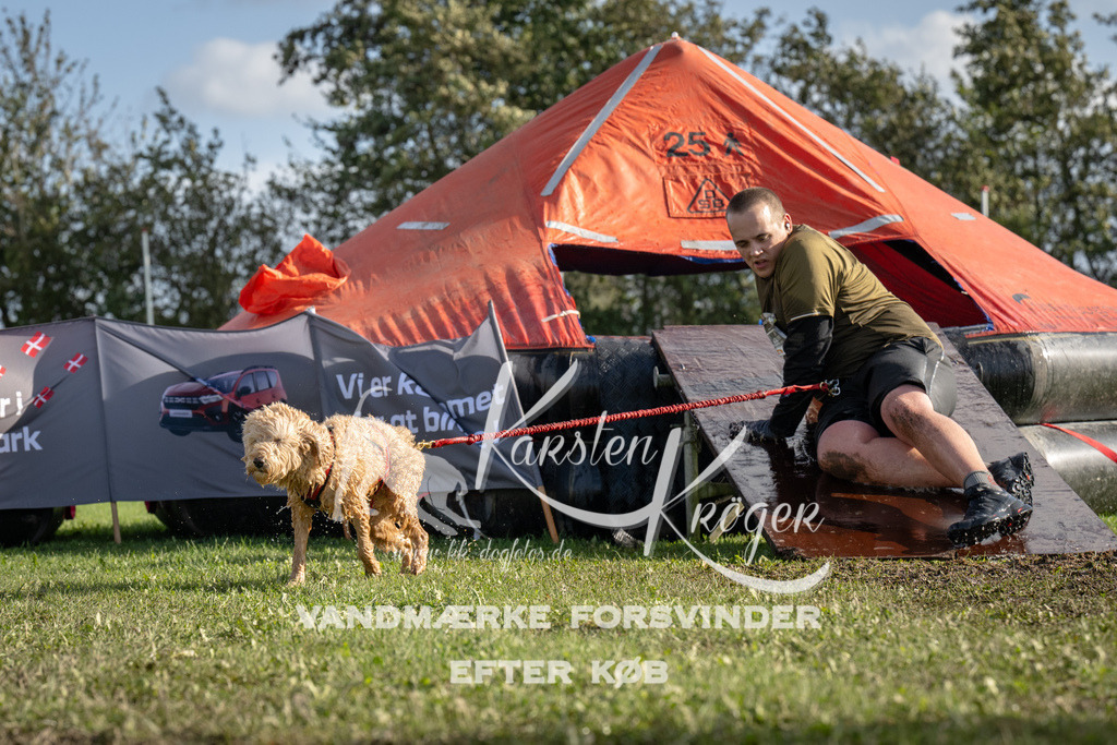 1406-93691 | kk-dogfotos