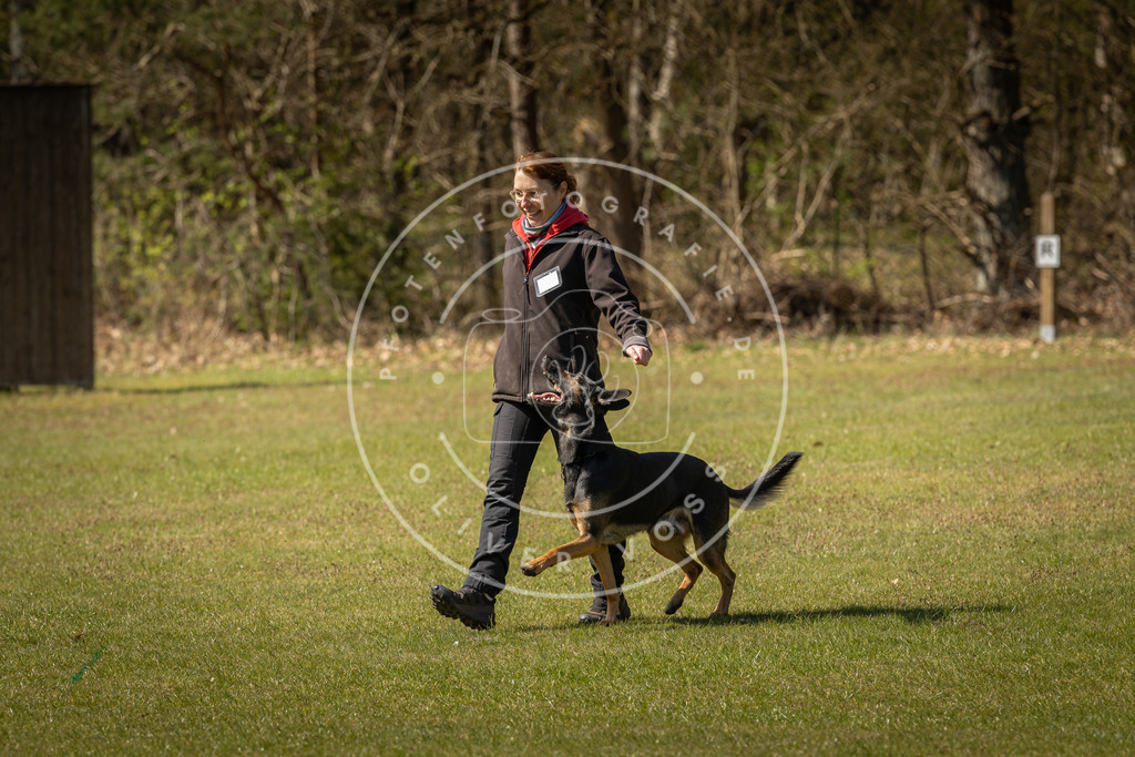 Pfotenfotografie_DV3A0933 | Hundefotografie, Tierfotograf, Pfotenfotografie, Fotoshooting Hund, Hunde Portrait, Hundesport, Hundeportraits, Heideshooting, Hunde, Sportfotograf, Hundefotograf, Turnierhundsport, THS,  - Realisiert mit Pictrs.com