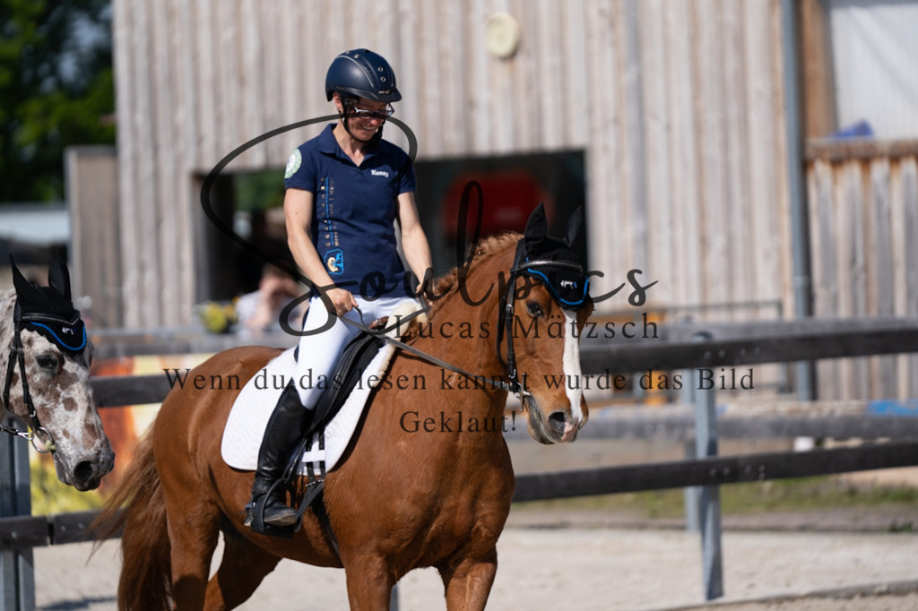 A7V01928 | Pferdefotograf