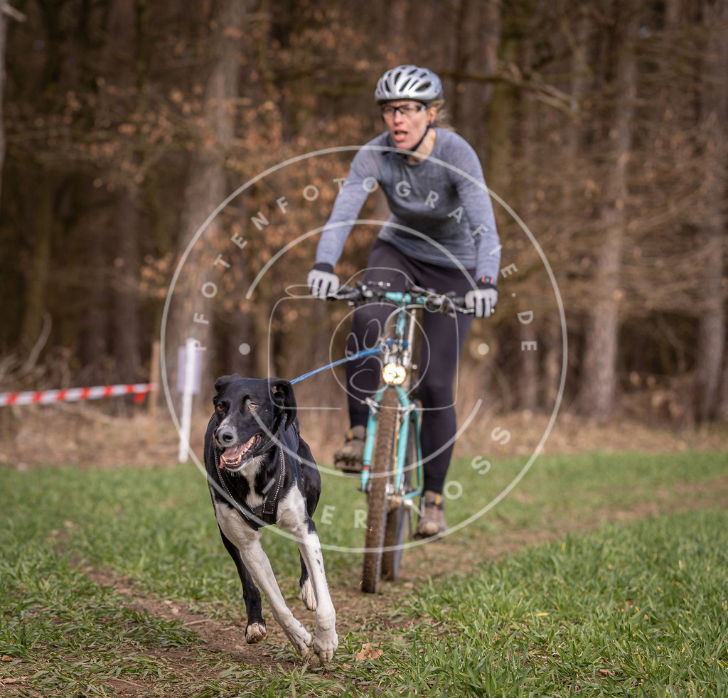 DV3A6177 | Hundefotografie, Tierfotograf, Pfotenfotografie, Fotoshooting Hund, Hunde Portrait, Hundesport, Hundeportraits, Heideshooting, Hunde, Sportfotograf, Hundefotograf, Turnierhundsport, THS,  - Realisiert mit Pictrs.com