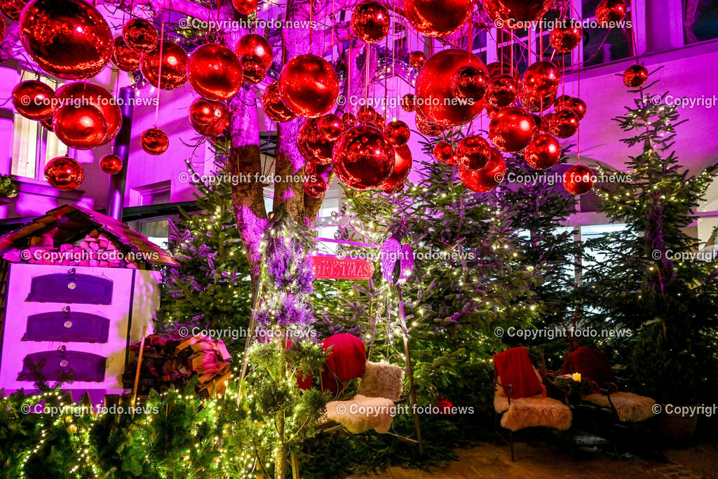 Weihnachtsmarkt_ Linz_ 22.11.2023-39 | 22.11.2023, Linz, AUT, Klosterhof, im Bild Winterzauber, Weihnachtsmarkt, Winterwald, Besucher, Tradition, Brauchtum, Beleuchtung, Tannen, Baume, Speisen, Getraenke