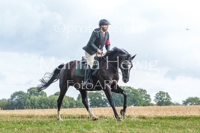 Jagd Knoop 26_MarinaHewigMCH02637 | Fotografie, FotoArt, PferdesportArt, Pferdesportfotografie, Landschaftsfotografie, Reisefotografie, Reise, Pferde - Realisiert mit Pictrs.com