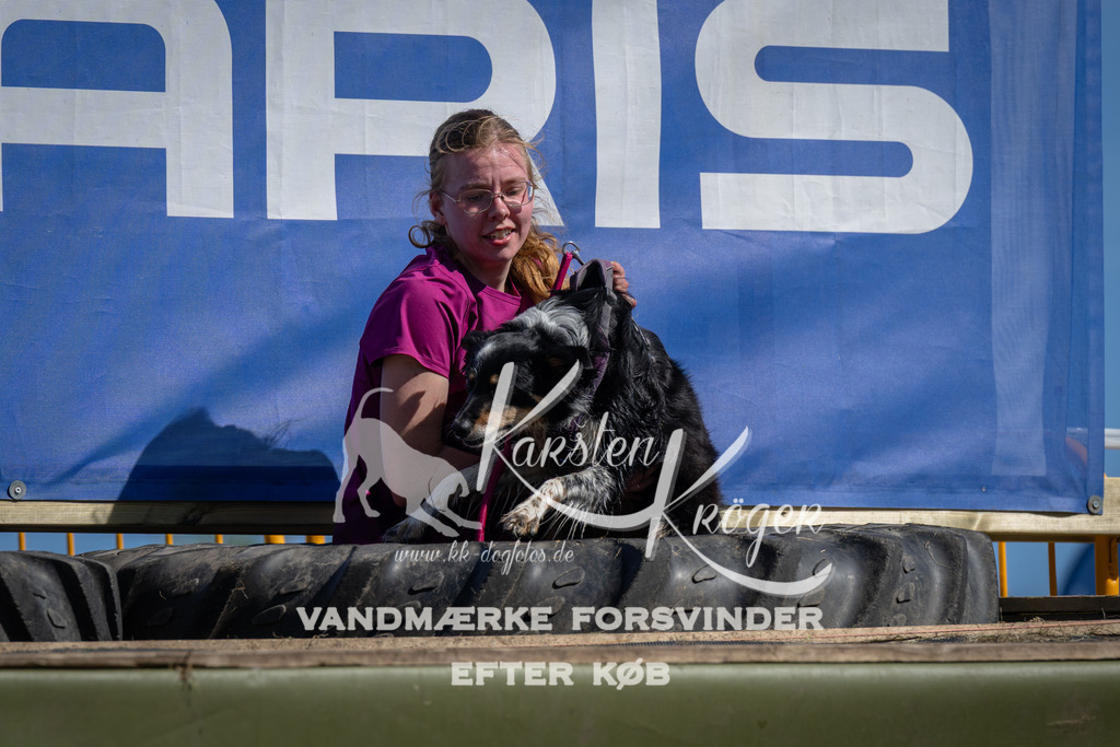 1126_ZZ91585 | kk-dogfotos