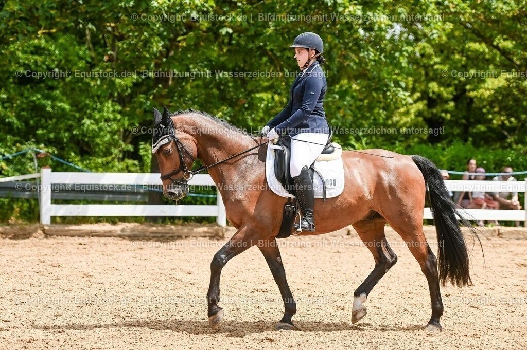 20230716_03_Dressurprfg. Kl.L - Tr._0657 | equistock