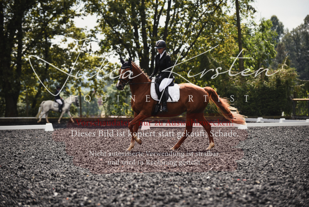 DSC_3893 | Pferde- und Turnierfotografie in Westsachsen. Pferdeportraits, Auftragszeichnungen und intuitive Kunst.