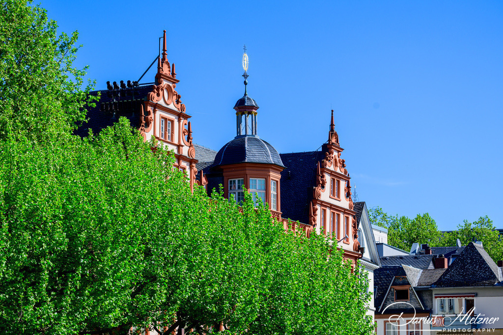 DSC_1324 | Fotografien, Fotos und Bilder aus Mainz, Frankfurt, Wiesbaden und anderen Orten auf der Welt - Fotografiert von Darius Metzner