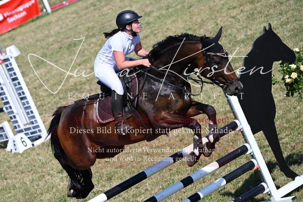 DSC_1999 | Pferde- und Turnierfotografie in Westsachsen. Pferdeportraits, Auftragszeichnungen und intuitive Kunst.