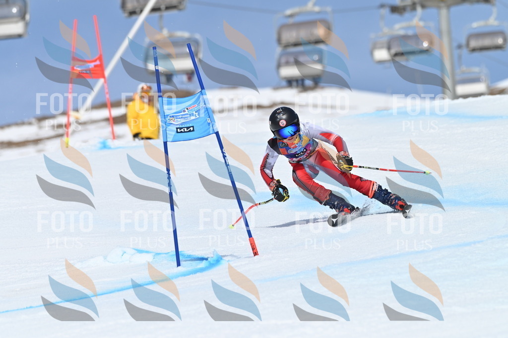 BGV_1072 | holidayphoto