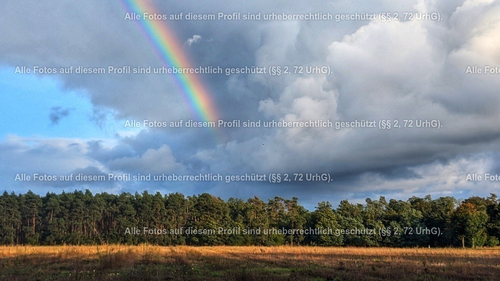 PXL_20241010_151307920 | krollfotografie - Realisiert mit Pictrs.com