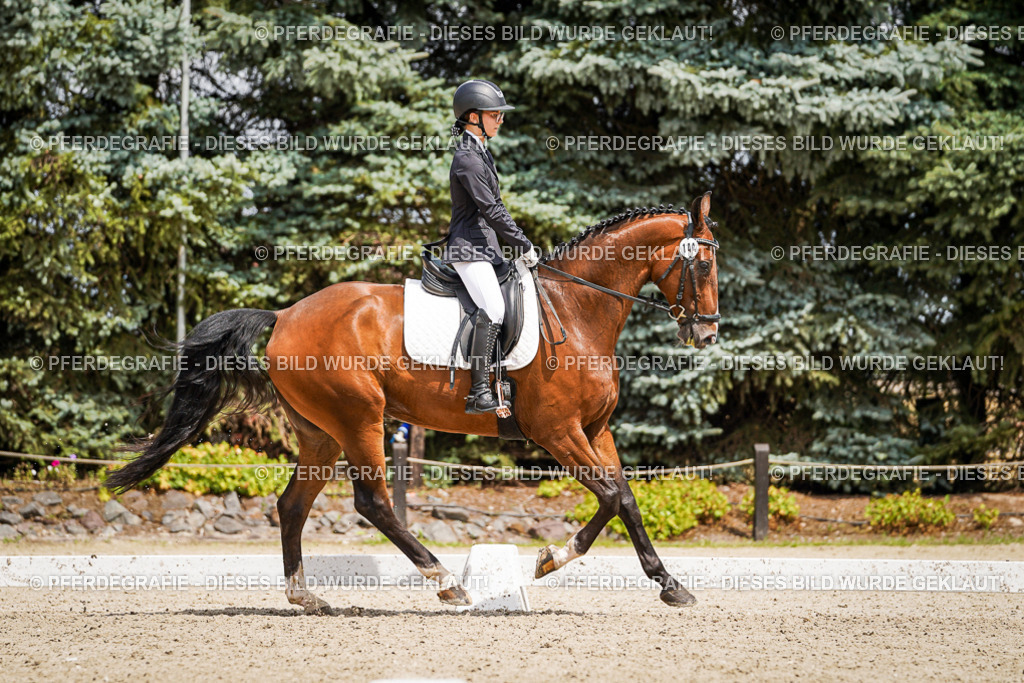 DSC02803 | Pferdegrafie