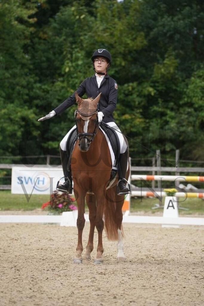 rveinoedsamstag (1032) | d.tail Visions - Shop - Realisiert mit Pictrs.com