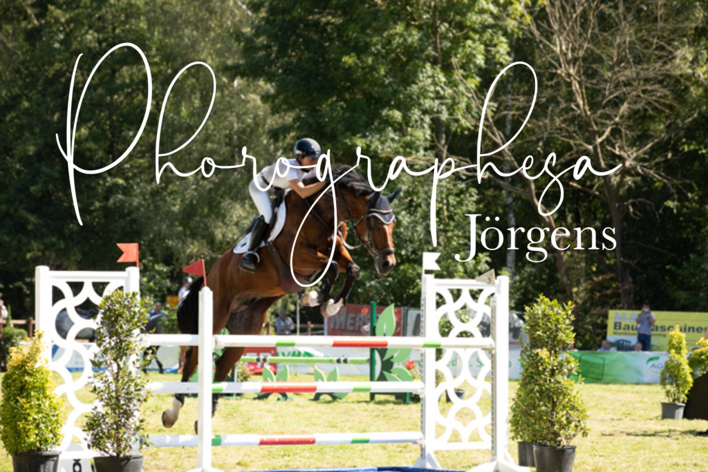 IMG_9086 | photographesa-joergens - Realisiert mit Pictrs.com