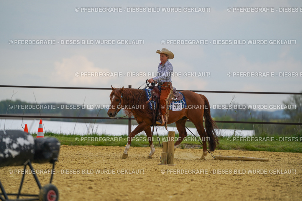 DSC07778 | Pferdegrafie