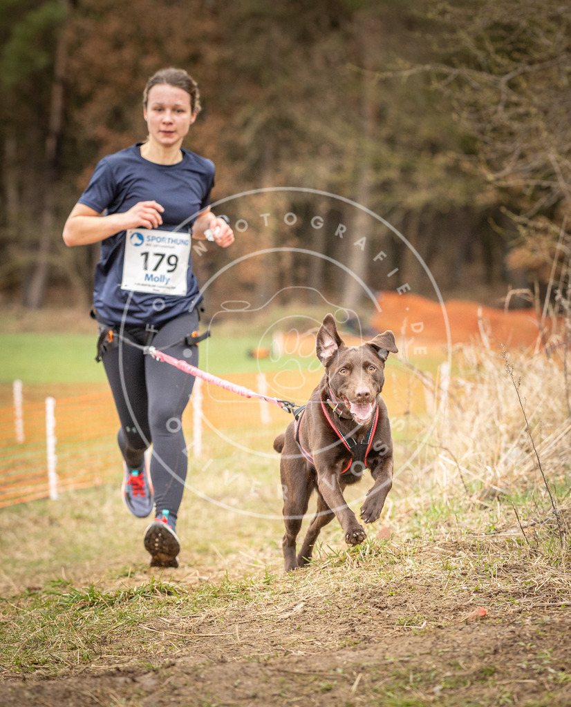 DV3A2486 | Hundefotografie, Tierfotograf, Pfotenfotografie, Fotoshooting Hund, Hunde Portrait, Hundesport, Hundeportraits, Heideshooting, Hunde, Sportfotograf, Hundefotograf, Turnierhundsport, THS,  - Realisiert mit Pictrs.com