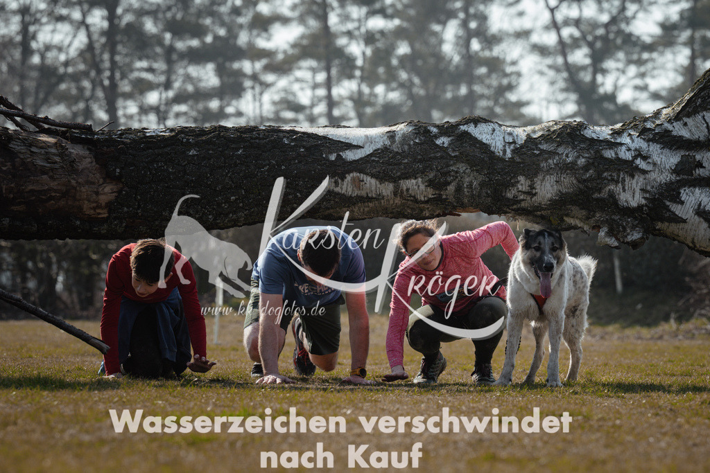 1137_ZZ95406 | kk-dogfotos