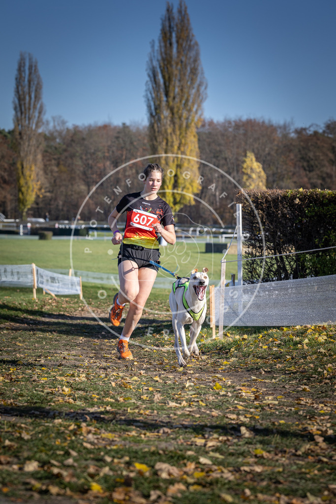 CaniXpix_DV3A9688 | Hundefotografie, Tierfotograf, Pfotenfotografie, Fotoshooting Hund, Hunde Portrait, Hundesport, Hundeportraits, Heideshooting, Hunde, Sportfotograf, Hundefotograf, Turnierhundsport, THS,  - Realisiert mit Pictrs.com