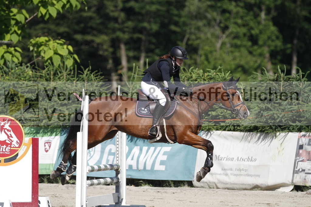 _MG_2436 | equestrian-live-com