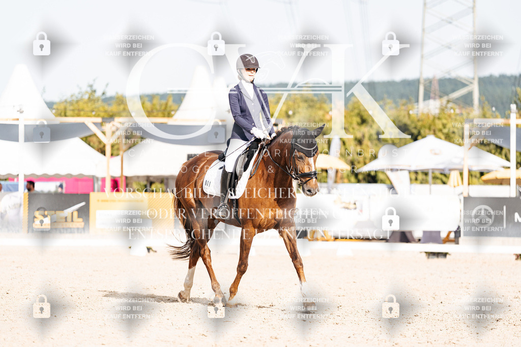 CK905132 | Turnierfotografie Pferdefotografie Trier Rheinland-Pfalz Pferdesport Reitsport Tierfotografie Sportfotografie Pferdevideo Pferdevideografie Equestrianvideography equestrianphotography  - Realisiert mit Pictrs.com