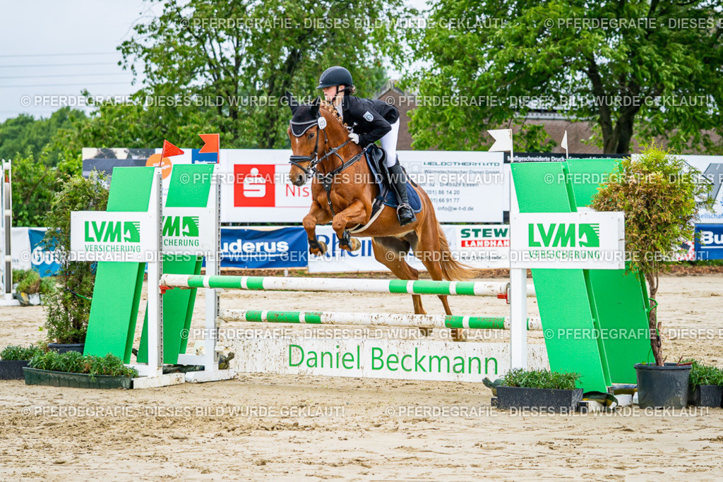 DSC02670 | Pferdegrafie