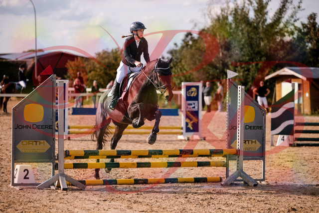 2026_10_03_Siefer-Hof_154911_Z81_67530819 | Professionelle Reitsport-, Turnier- und Eventfotografie von Robert Broda. Galerien mit ausgewählten und bearbeiteten Bildern direkt online ansehen und bestellen.