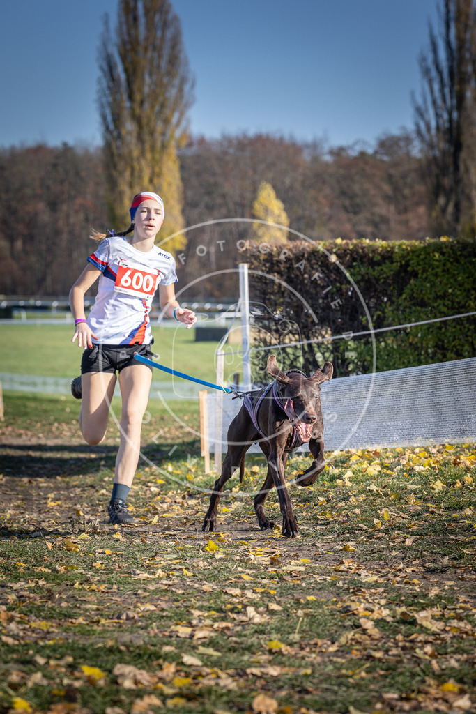 CaniXpix_DV3A9481 | Hundefotografie, Tierfotograf, Pfotenfotografie, Fotoshooting Hund, Hunde Portrait, Hundesport, Hundeportraits, Heideshooting, Hunde, Sportfotograf, Hundefotograf, Turnierhundsport, THS,  - Realisiert mit Pictrs.com