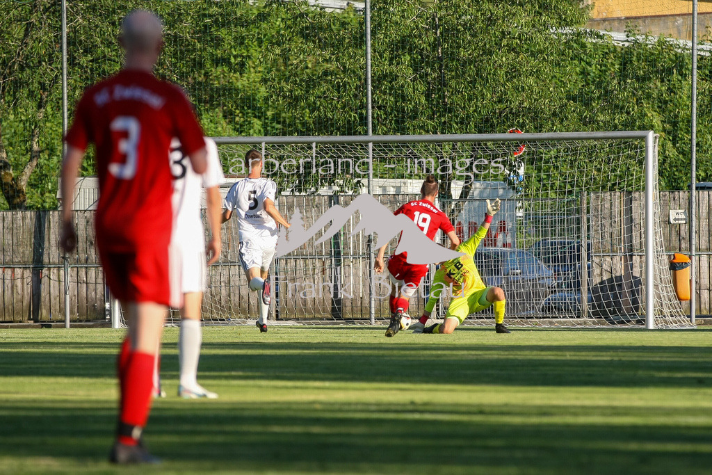 993T8121 | Medien- Sport- Entertainmentfotos
