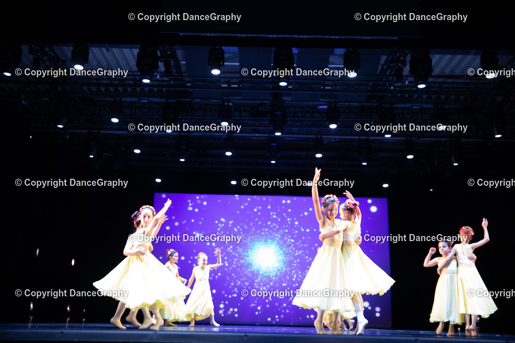 GPHY4740 | DanceGraphy - Realisiert mit Pictrs.com