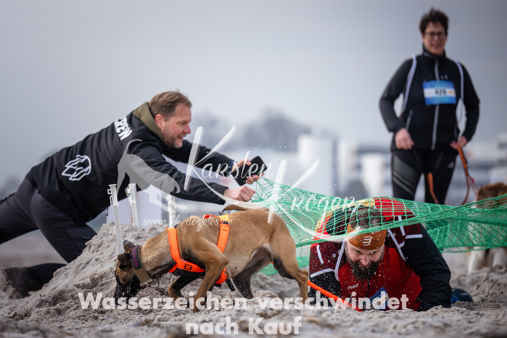 1131_ZZ99189 | kk-dogfotos