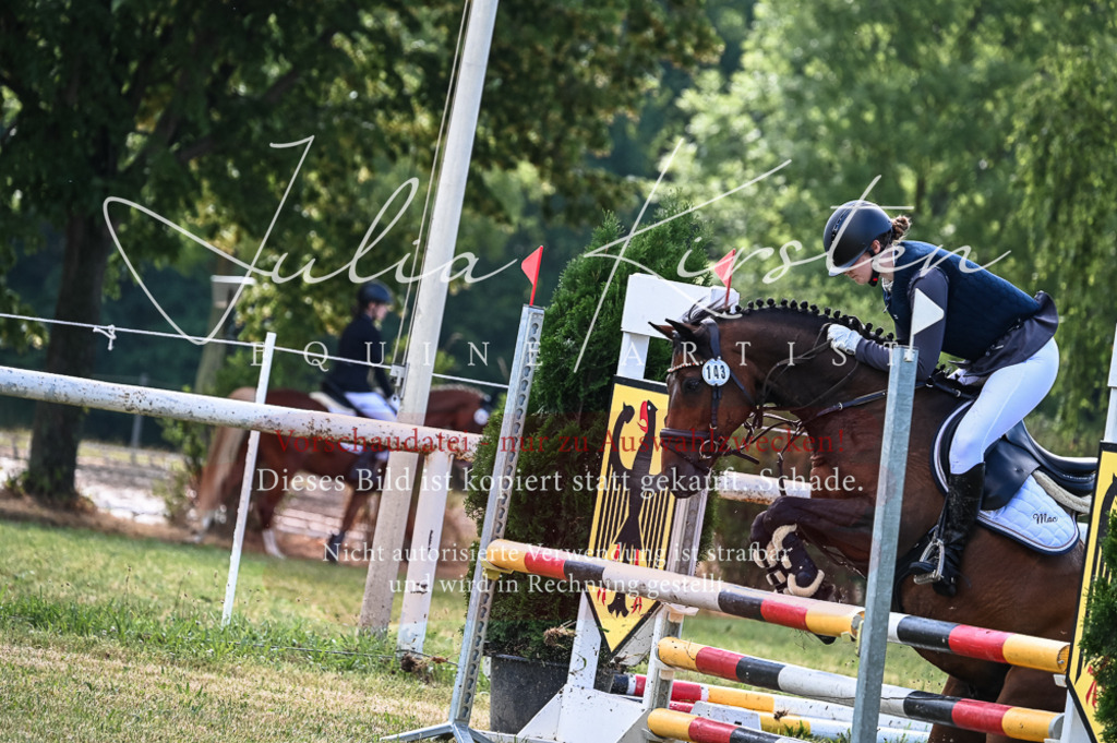 DSC_8007 | Pferde- und Turnierfotografie in Westsachsen. Pferdeportraits, Auftragszeichnungen und intuitive Kunst.
