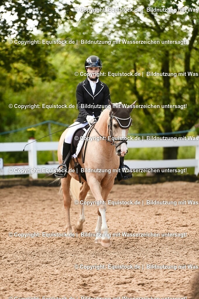 20230716_04_Dressurreiterprüfung Kl.A_0358 | equistock