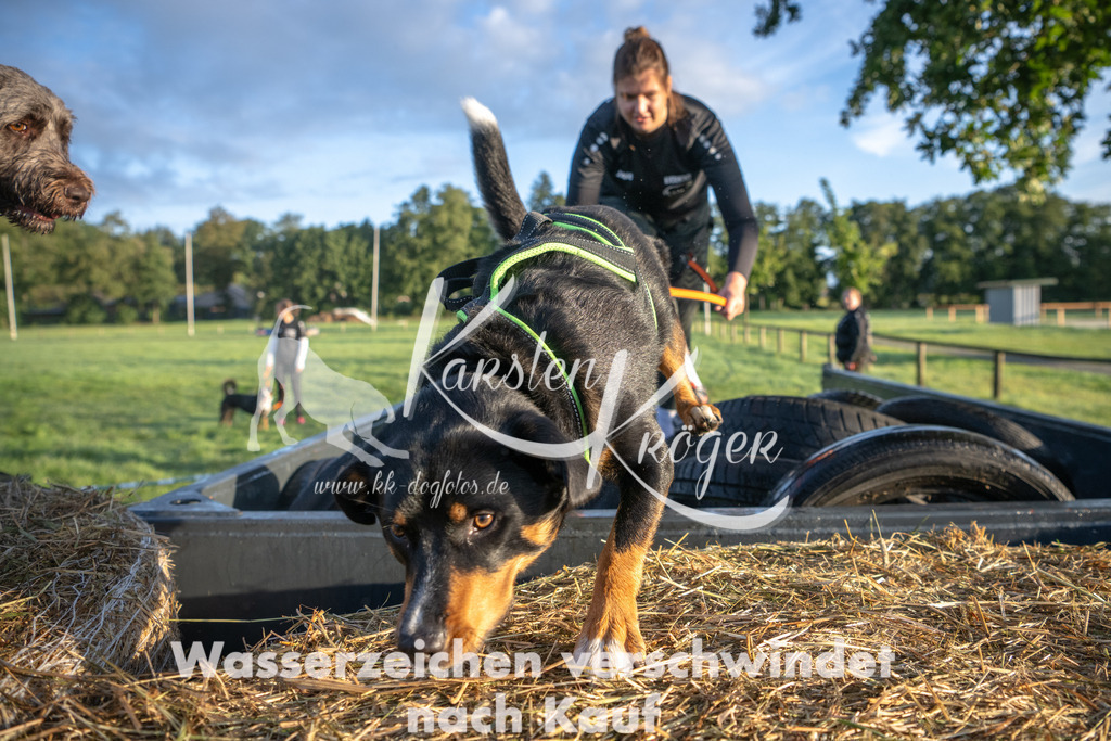 0804_ZZ90144 | kk-dogfotos
