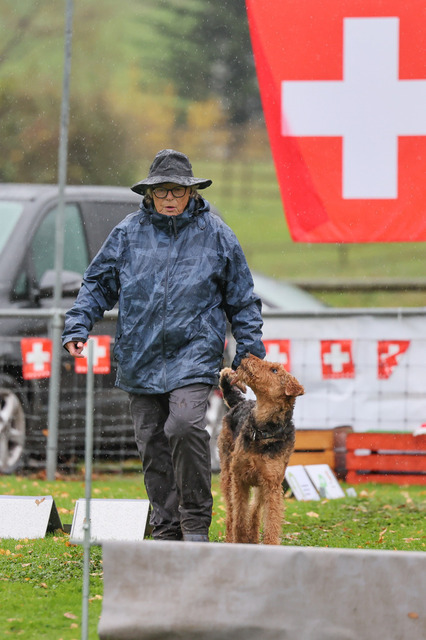 2025_Rally_Obedience_SM-220 | Ich fotografiere Hundeausstellungen, Sportanlässe, Zuchtstätten, Hundezucht, Hundeportrait, Lagotto - Realisiert mit Pictrs.com