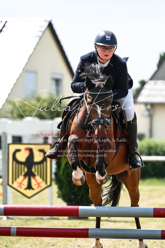 DSC_9287 | Pferde- und Turnierfotografie in Westsachsen. Pferdeportraits, Auftragszeichnungen und intuitive Kunst.