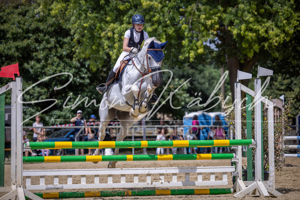 20260704-_3LI0044 | Tierfotografie Pferde, Hunde, Katzen, Haustiere.
Turnierfotografie Reitturniere, Reiten, Springreiten, Dressur in Hanau, dem Main-Kinzig-Kreis und dem Rhein-Main- Gebiet um Frankfurt