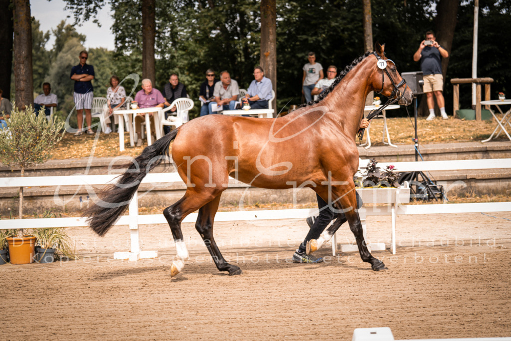 4.Fr00026 | Leoni Ertmer Photography - Realisiert mit Pictrs.com