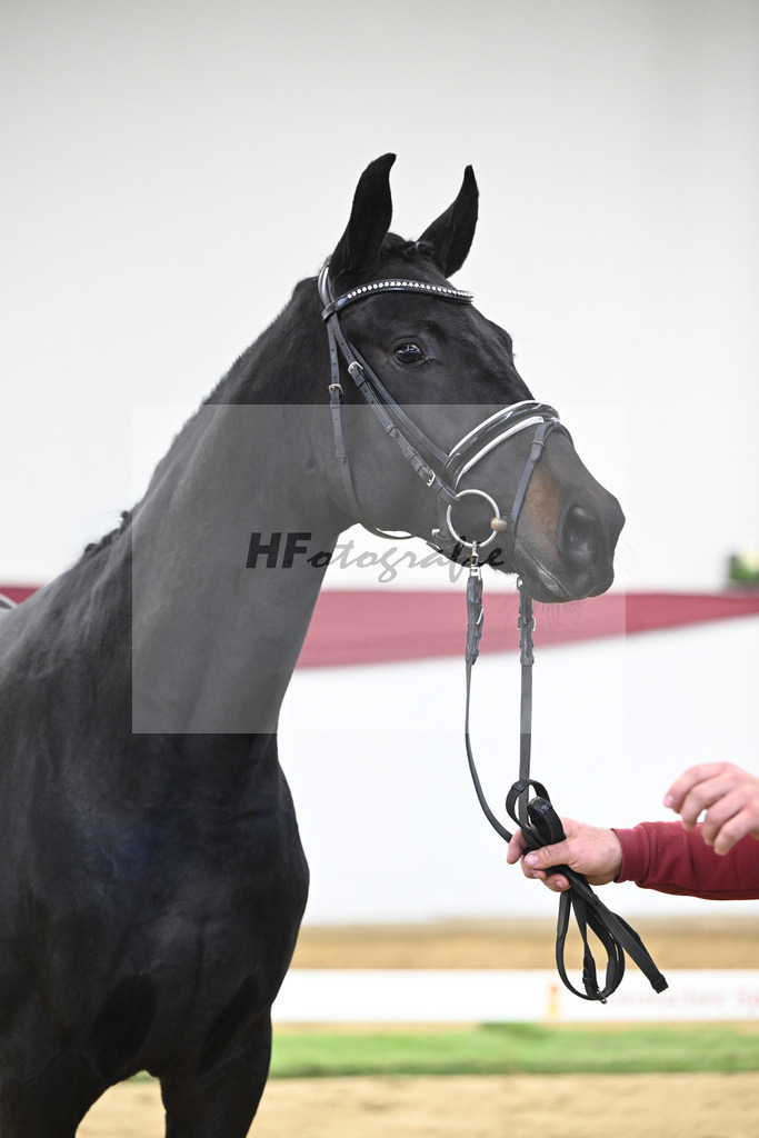 Kat-Nr. 34 Iron x Fuersten-Look_Thomas Casper_47251165 | hf-fotografie - Realisiert mit Pictrs.com