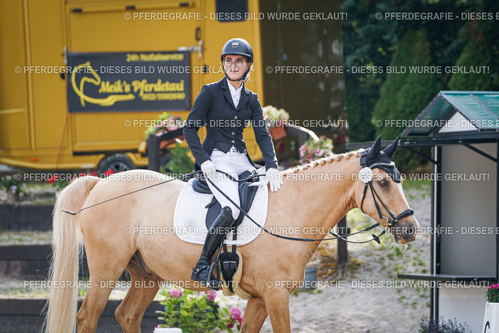 DSC00917 | Pferdegrafie