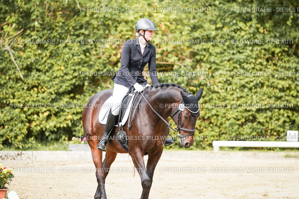 DSC01438 | Pferdegrafie