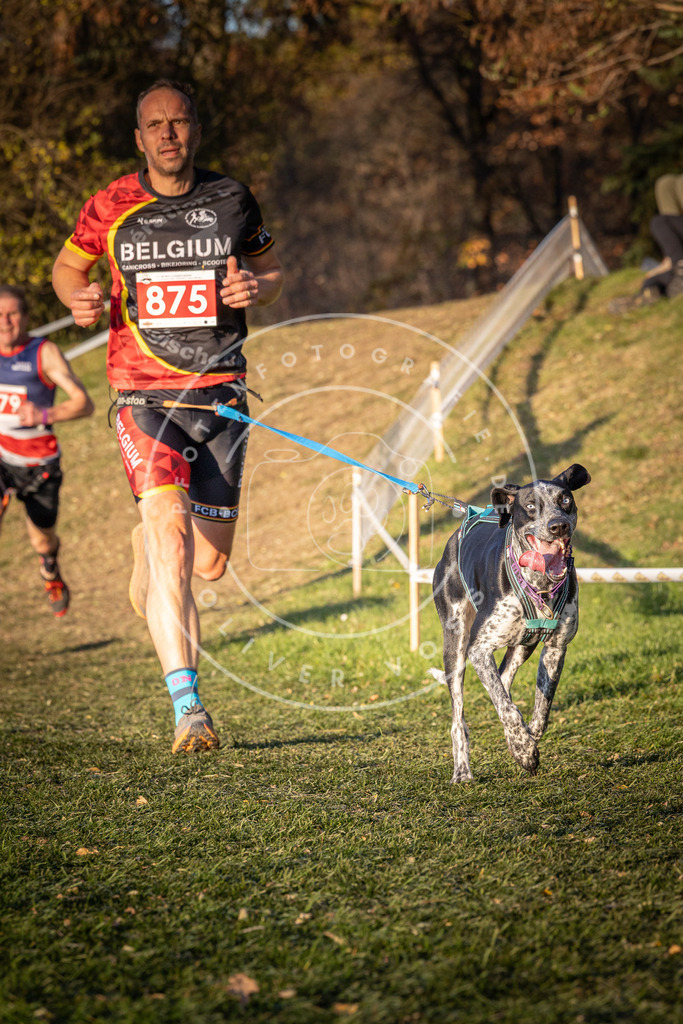 CaniXpix_0L8A1122 | Hundefotografie, Tierfotograf, Pfotenfotografie, Fotoshooting Hund, Hunde Portrait, Hundesport, Hundeportraits, Heideshooting, Hunde, Sportfotograf, Hundefotograf, Turnierhundsport, THS,  - Realisiert mit Pictrs.com