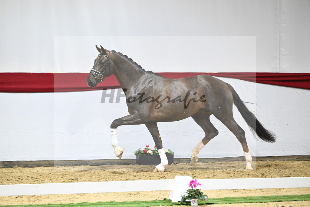 Kat-Nr. 66 v. Revolution_Reuner-Krebs_63221948 | hf-fotografie - Realizzato con Pictrs.com