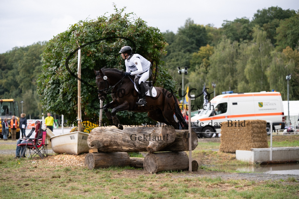 A7V00507 | Pferdefotograf