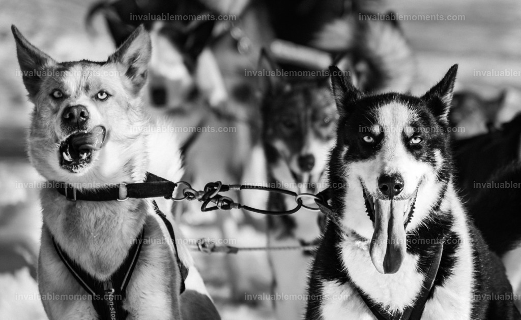 DSCF3205 | invaluablemoments.com - Realisiert mit Pictrs.com