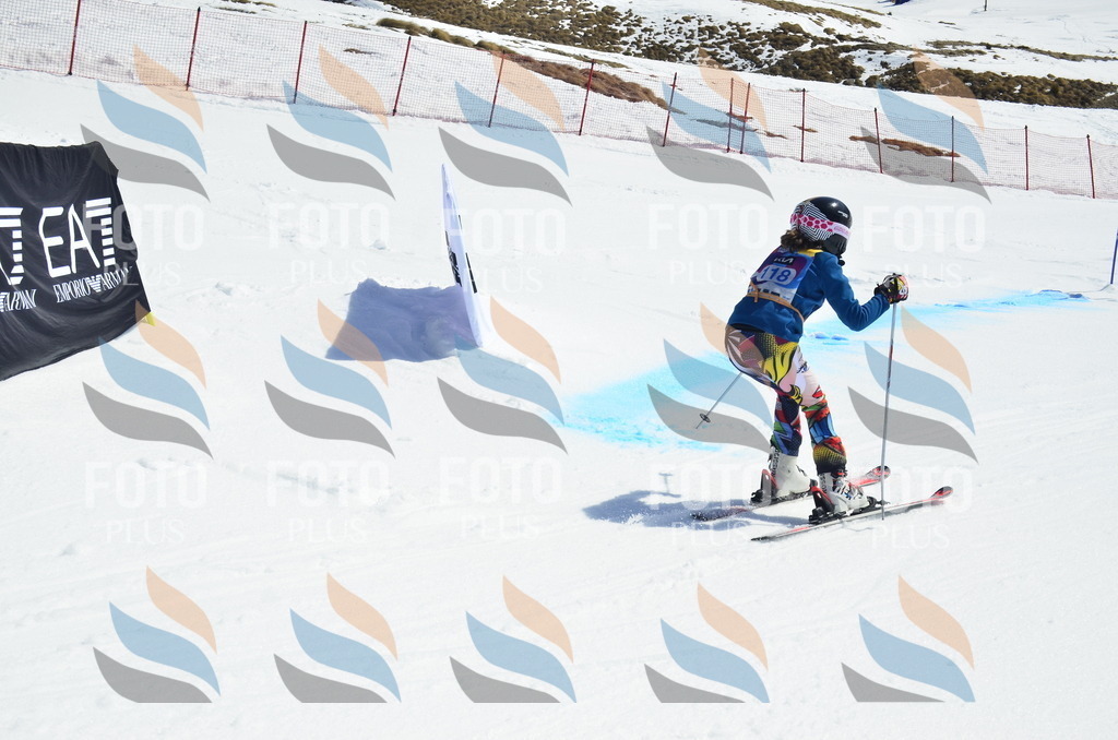 _ELE0717 | holidayphoto